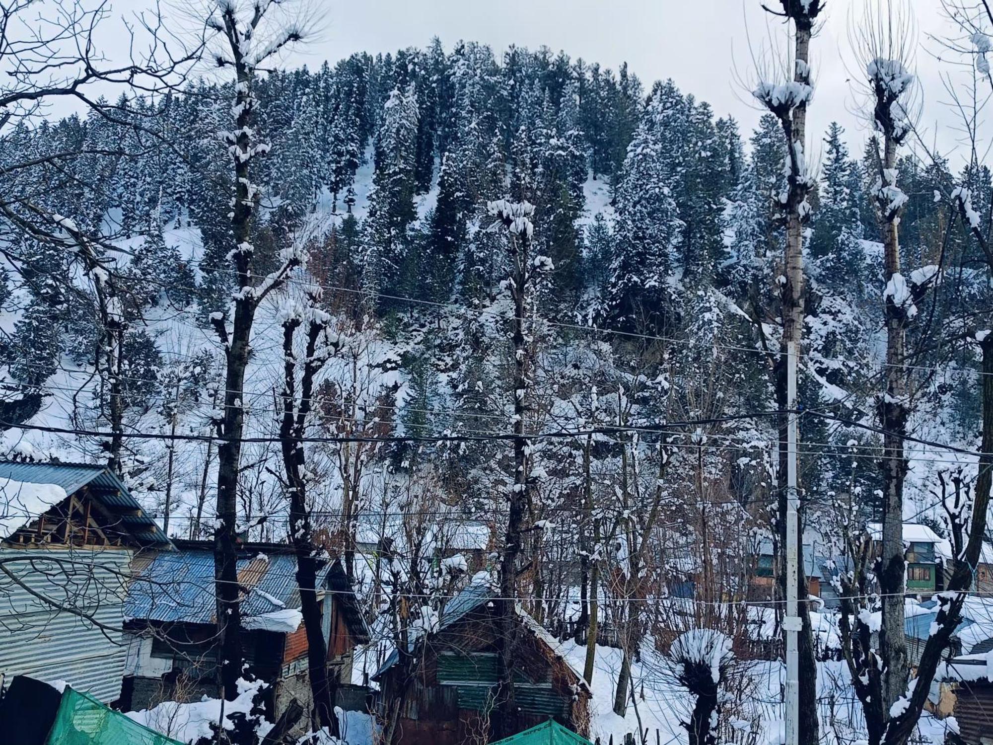 Mir Guest House Пахалгам Экстерьер фото